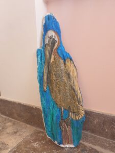 Pelicaan op drijfhout