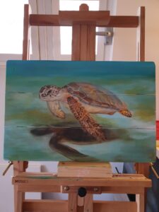 Schildpad op hout