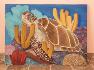 Schildpad tussen koraal 2