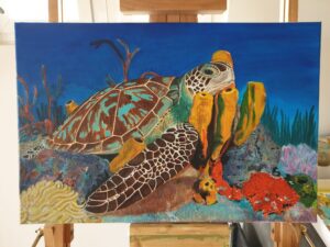 Schildpad tussen koraal 3