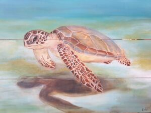 Schildpad zweeft boven grond op hout